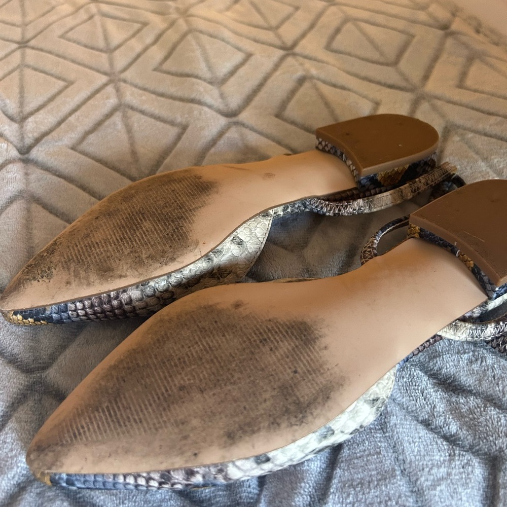 Steve Madden Python Pointed Toe Flats - image 4